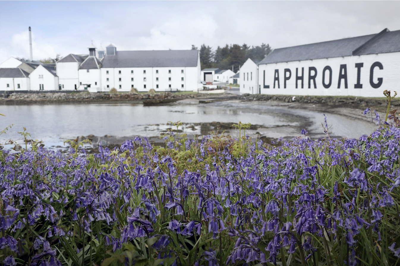 Laphroaig Distillery, Islay — one of the island's most heavily peated single malts, pictured across the shore of Loch Laphroaig