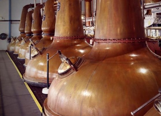Copper pot stills at Laphroaig.